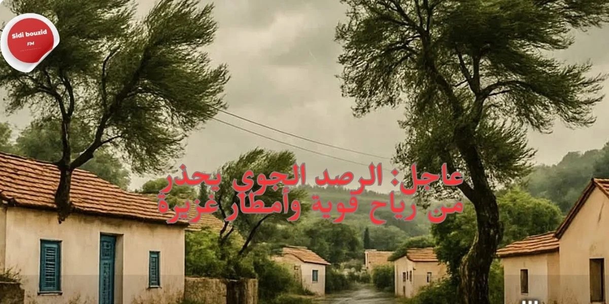 عاجل: الرصد الجوي يحذر من رياح قوية وأمطار غزيرة