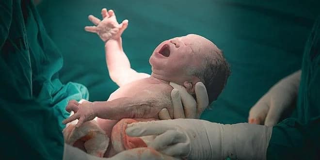 دولة إفريقية تنجب أكثر من أوروبا وروسيا معًا في عام واحد