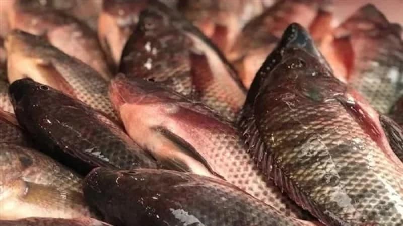 إيقاف صاحب محلات بيع سمك بسيدي بوزيد و صاحب مطعم فخم بسوسة