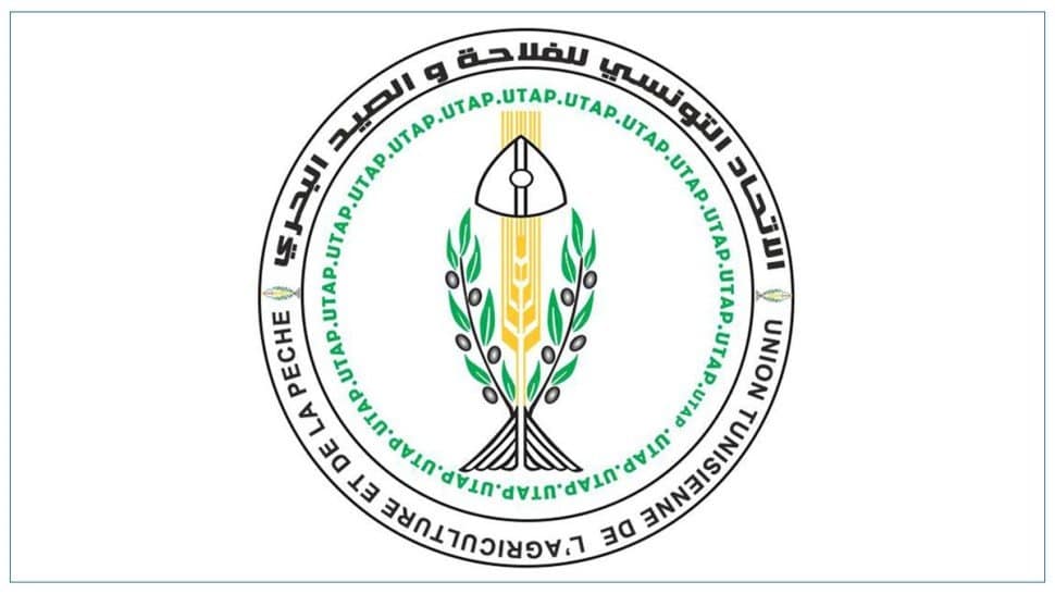 اتحاد الالترفيع في السعر المرجعي لرحي الزيتون “ضربة موجعة” للفلاحين